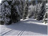 Rudno polje - Planina Zajamniki